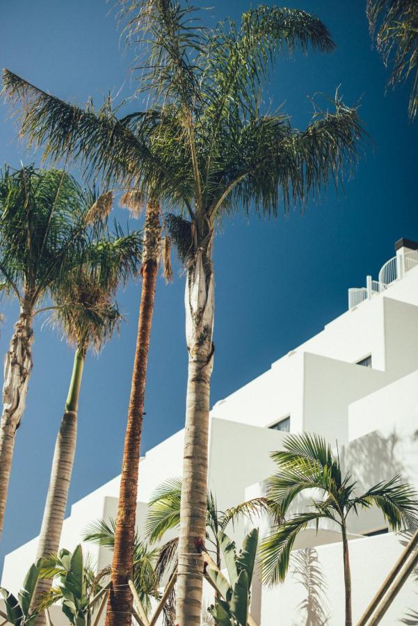 Cala Lanuza Suites El Campello Exteriér fotografie